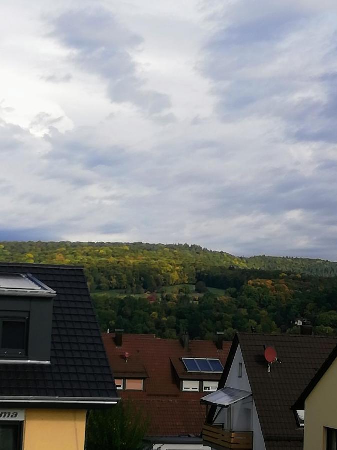 Ferienappartement Obrigheim Mosbach  Exteriör bild