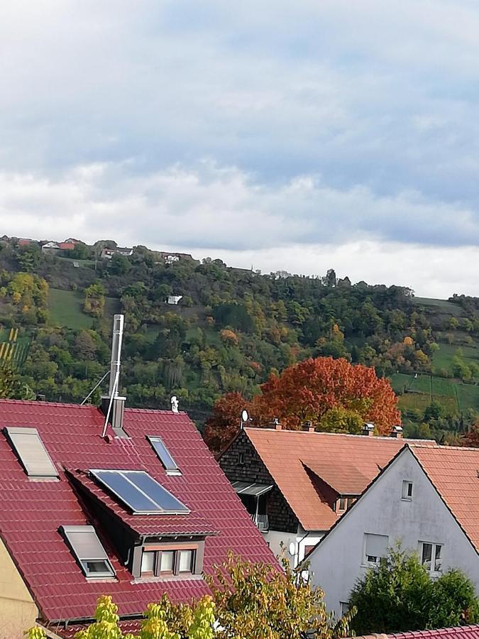 Ferienappartement Obrigheim Mosbach  Exteriör bild