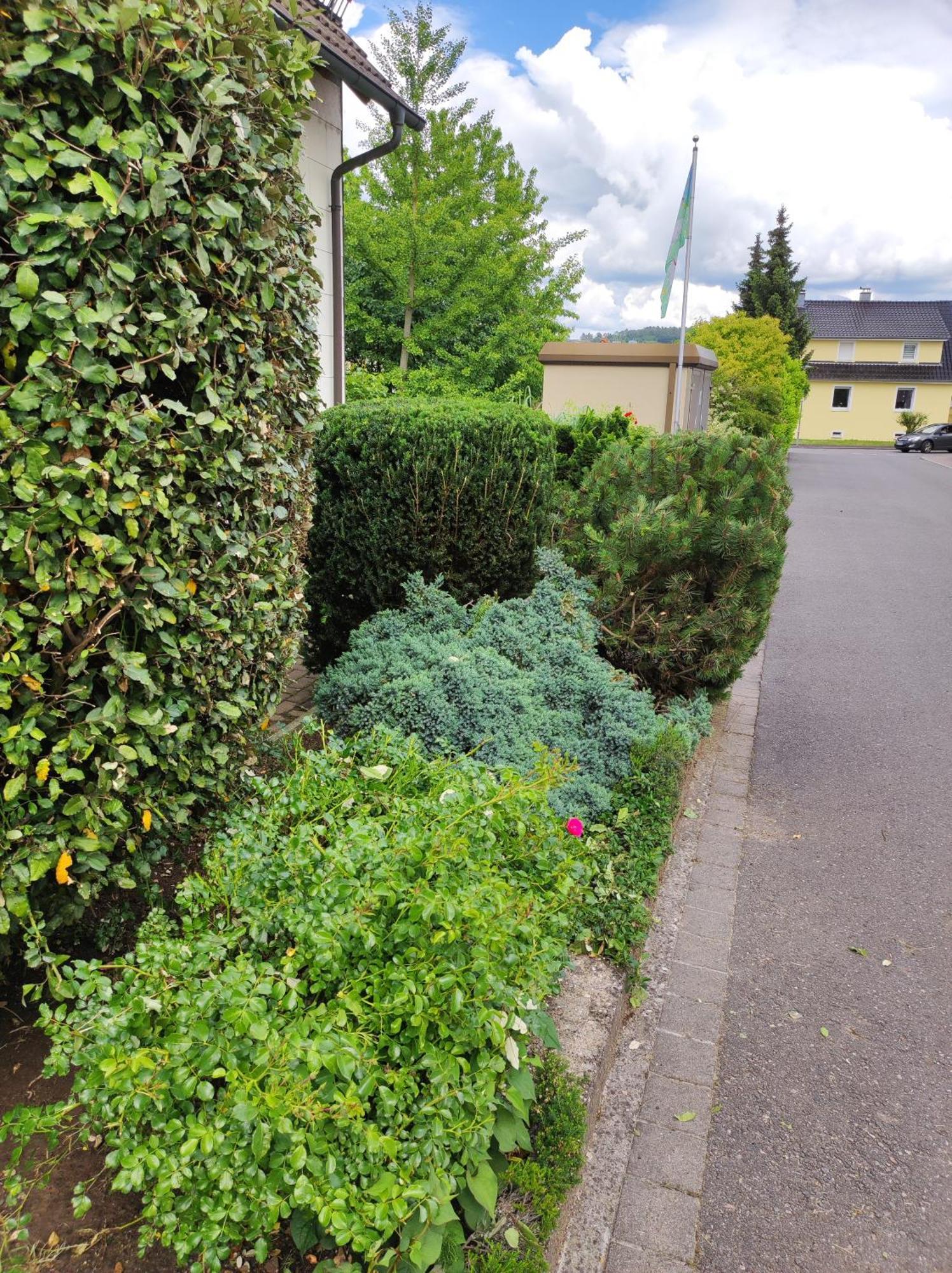 Ferienappartement Obrigheim Mosbach  Exteriör bild